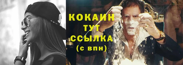 PSILOCYBIN Балабаново