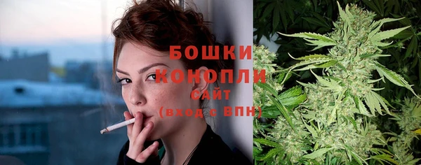 PSILOCYBIN Балабаново